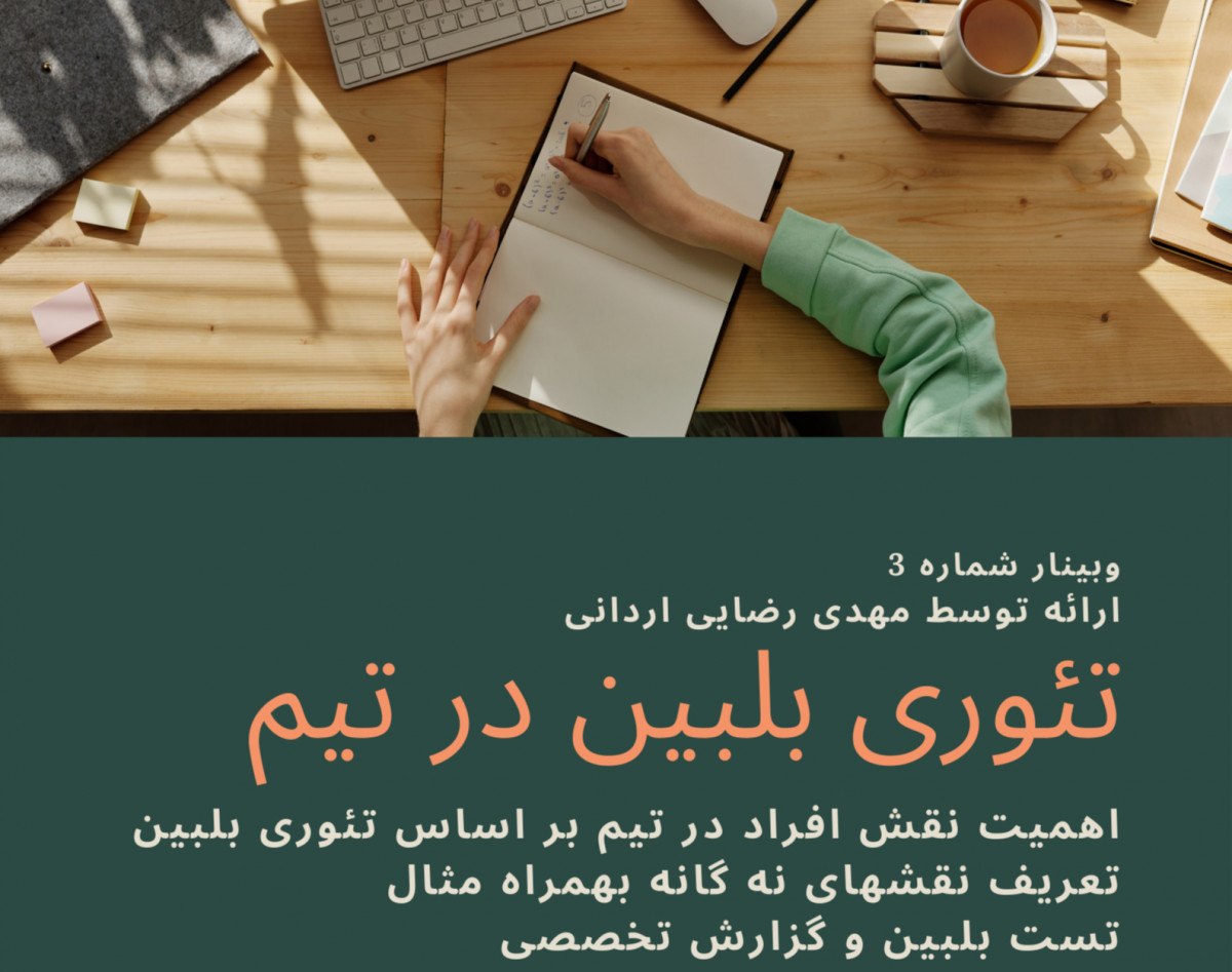 وبینار بررسی تئوری بلبین در تیم بهمراه تست