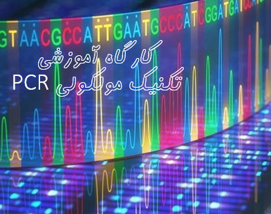 وبینار کارگاه آموزشی صفر تا صد تکنیک PCR