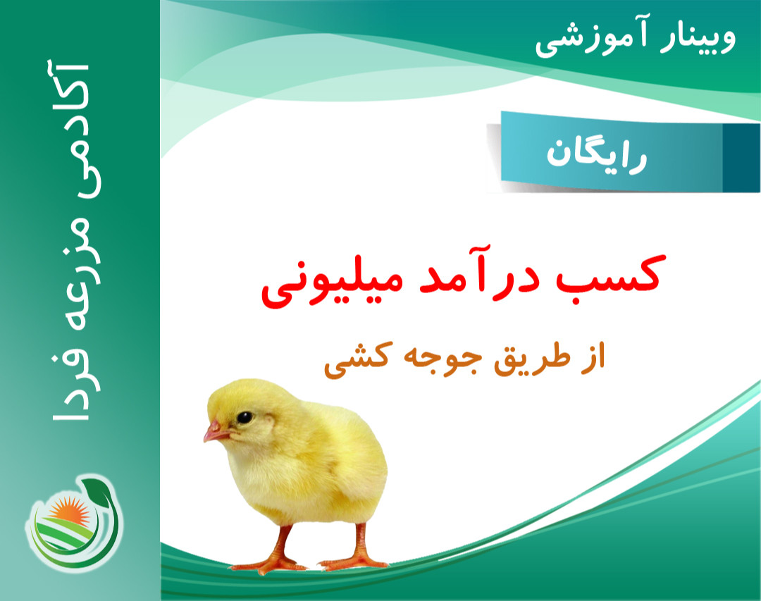 وبینار کسب درآمد میلیونی از طریق جوجه کشی