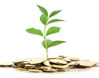 وبینار دروغ های رایج مدرسان بازارهای مالی