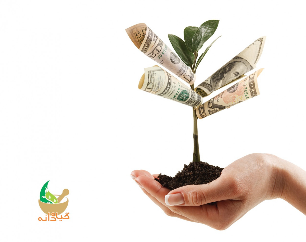 وبینار آشنایی با روش‌های درآمدزایی در زمینه گیاهان دارویی