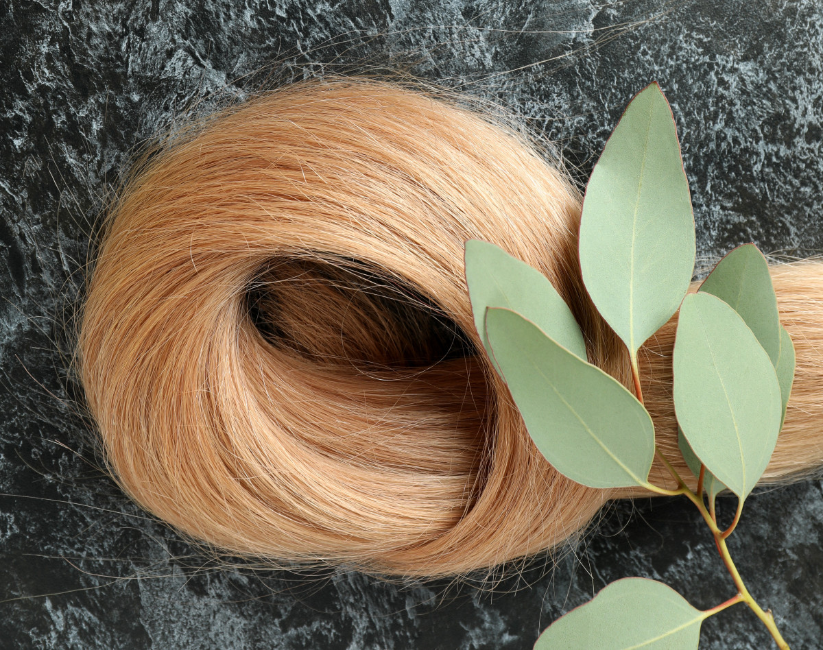 وبینار ساخت رنگ موهای گیاهی