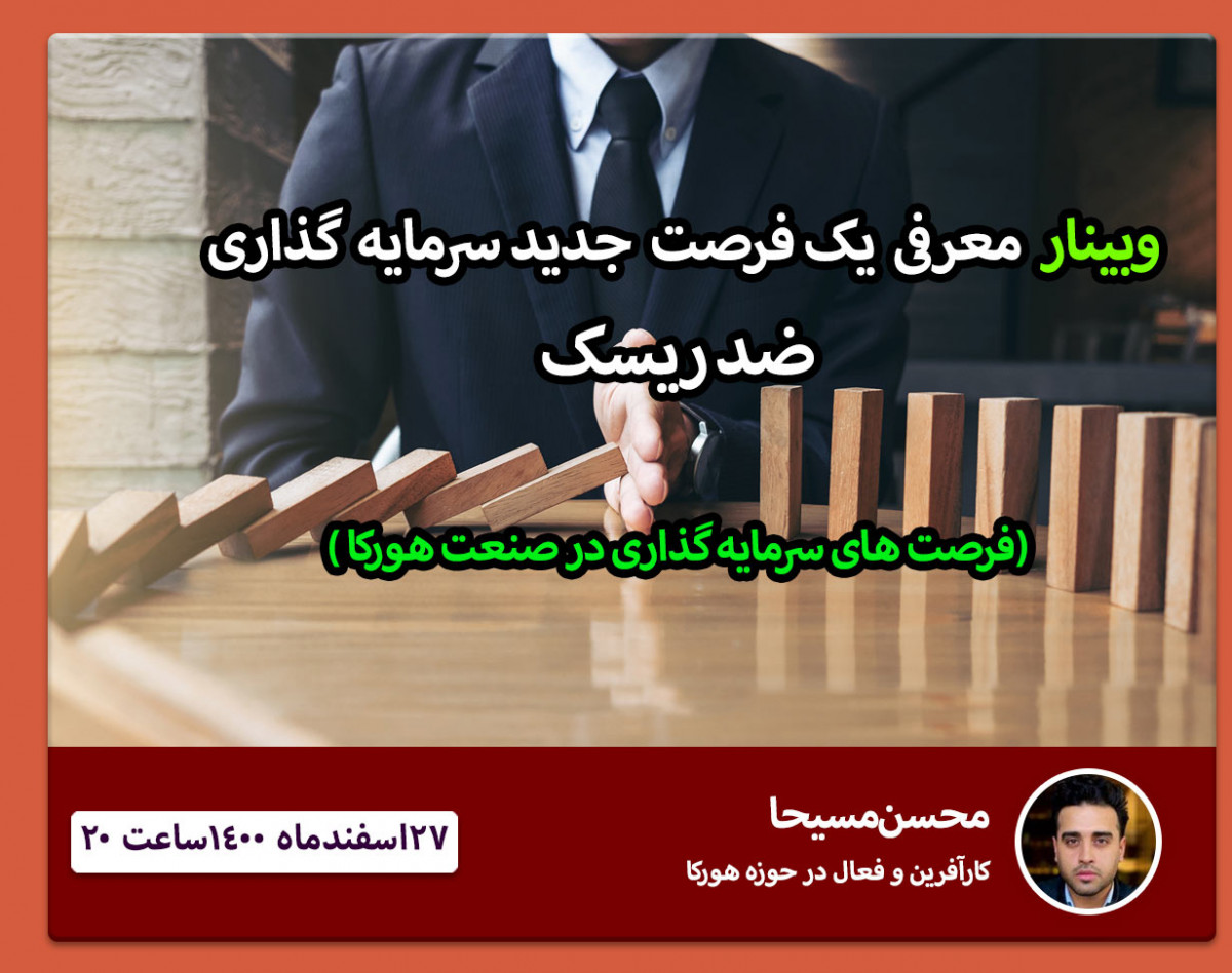 وبینار سرمایه گذاری ضد ریسک