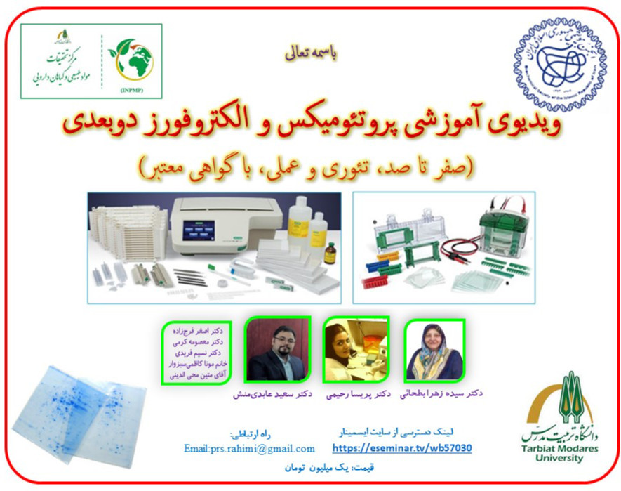 الکتروفورز دوبعدی