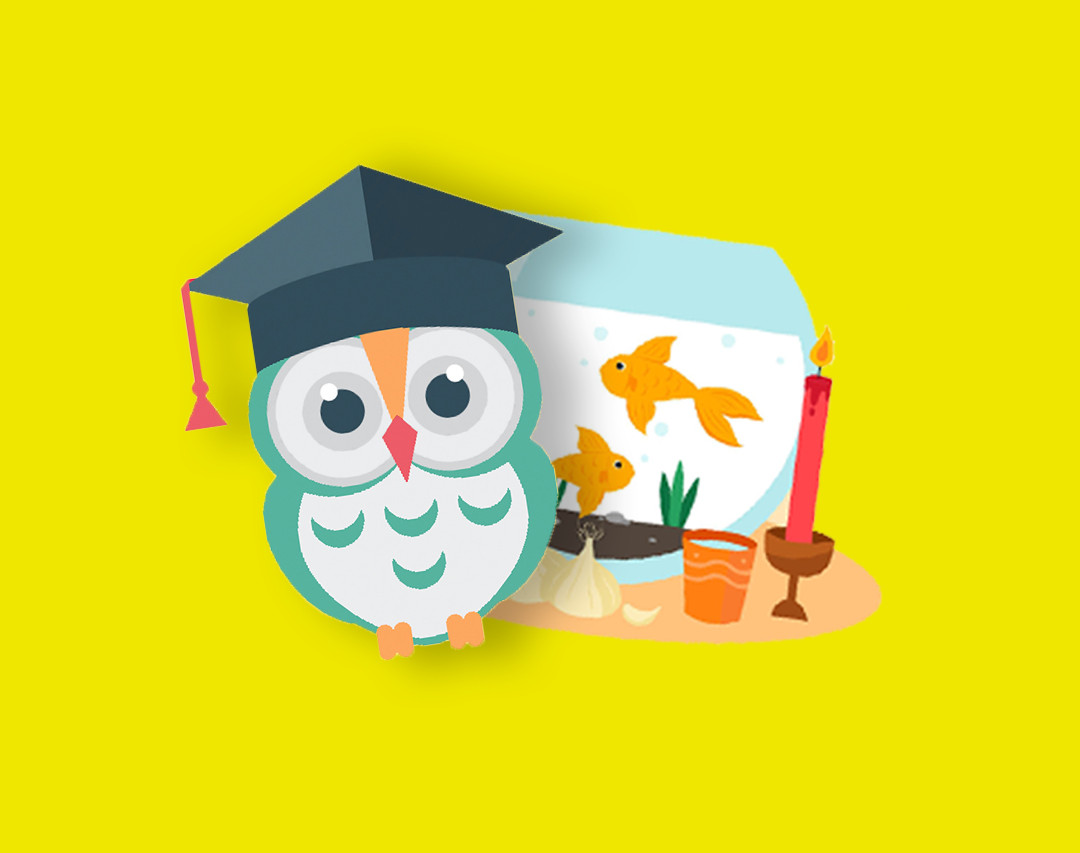 وبینار سوم اردوی نوروزی الورتبه