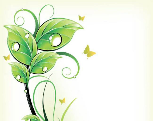 وبینار تابستان ، استارت موفقیت