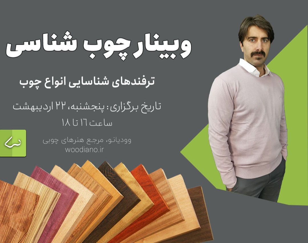 وبینار چوب شناسی وودیانو: راهکارهای شناسایی گونه های تجاری و کاربردی چوب