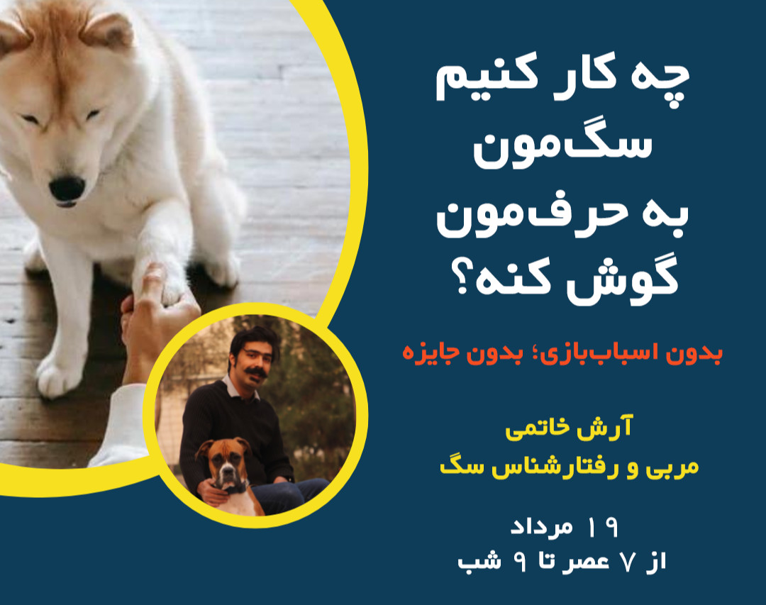 وبینار چه کار کنیم که سگ مون به حرف مون گوش بده؟ بدون اسباب‌بازی؛ بدون جایزه