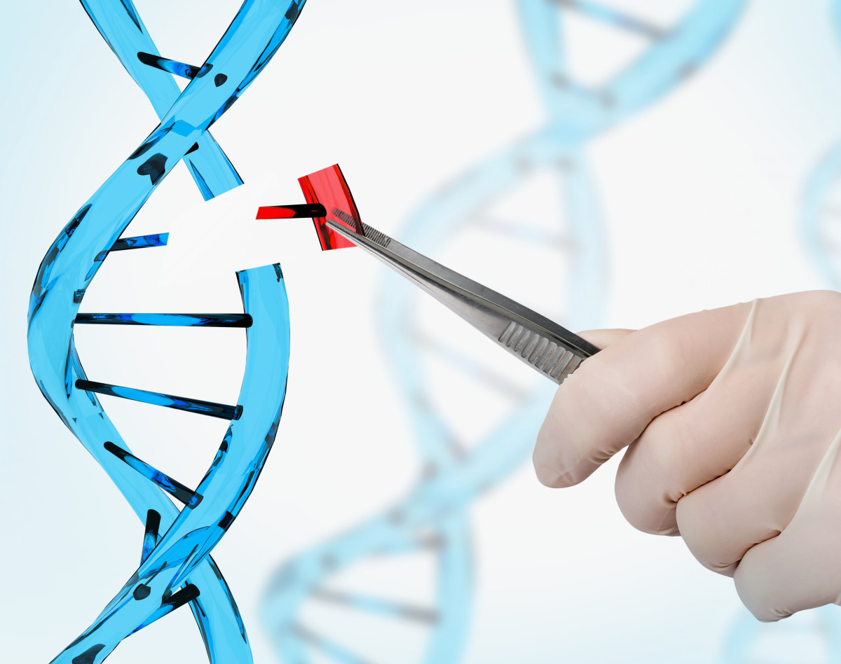 وبینار کریسپر