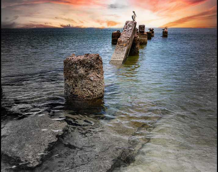 وبینار آموزش جامع توابع در پایتون