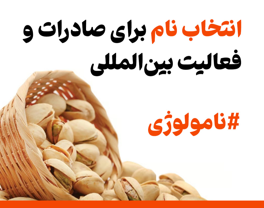 وبینار نامولوژی: نکات مهم در انتخاب نام برای فعالیت بین‌المللی و صادرات