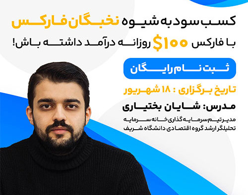 وبینار کسب سود به شیوه نخبگان فارکس