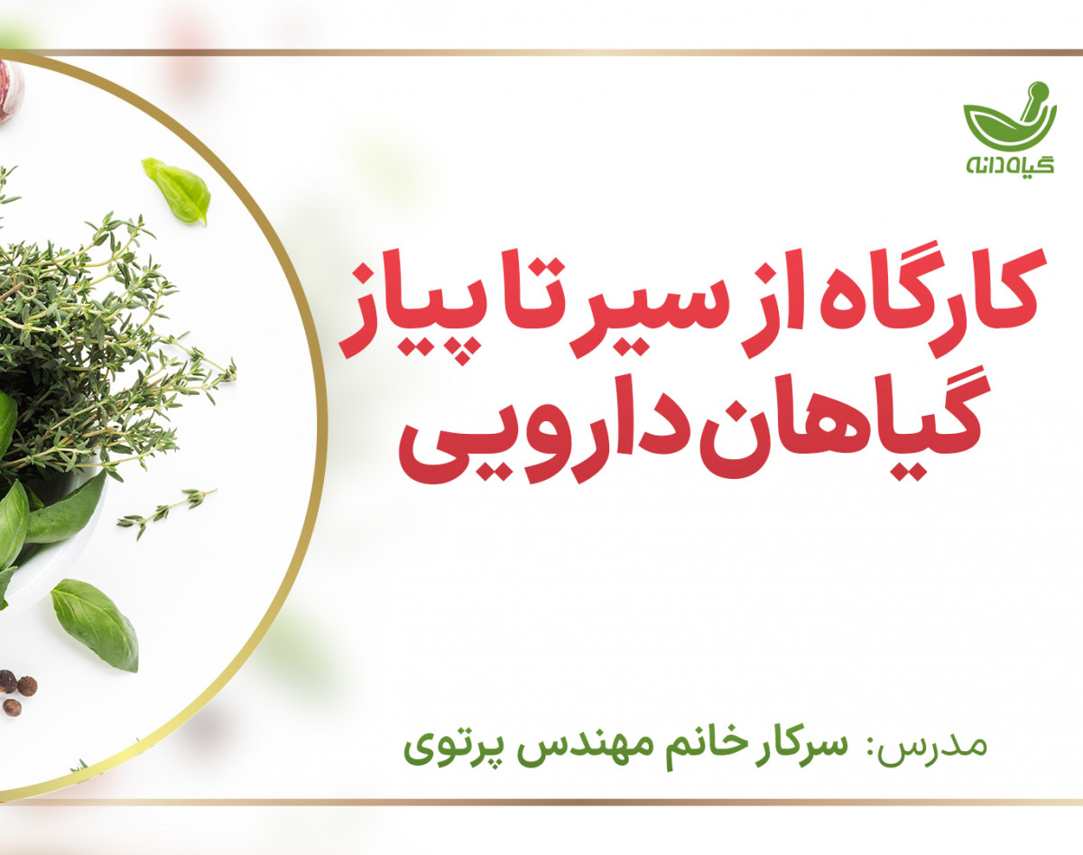 وبینار از سیر تا پیاز گیاهان دارویی