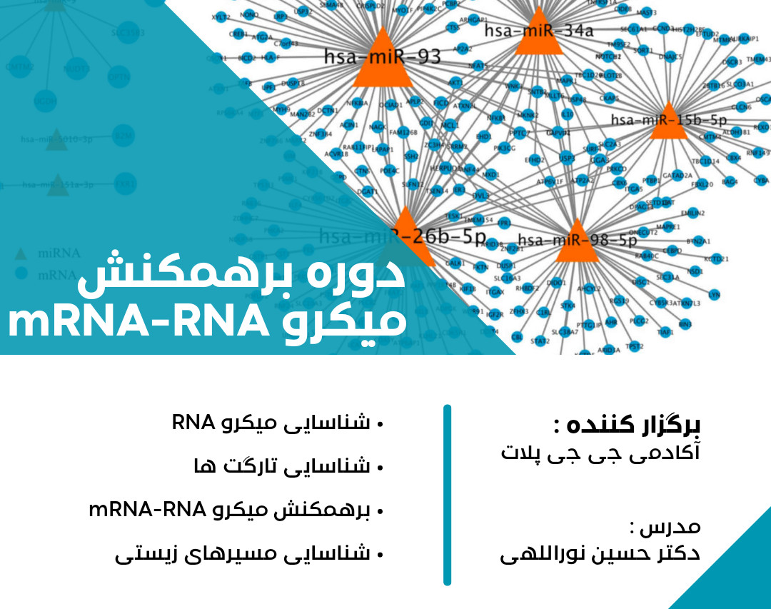 دوره آنالیز برهمکنش میکرو RNA با mRNA