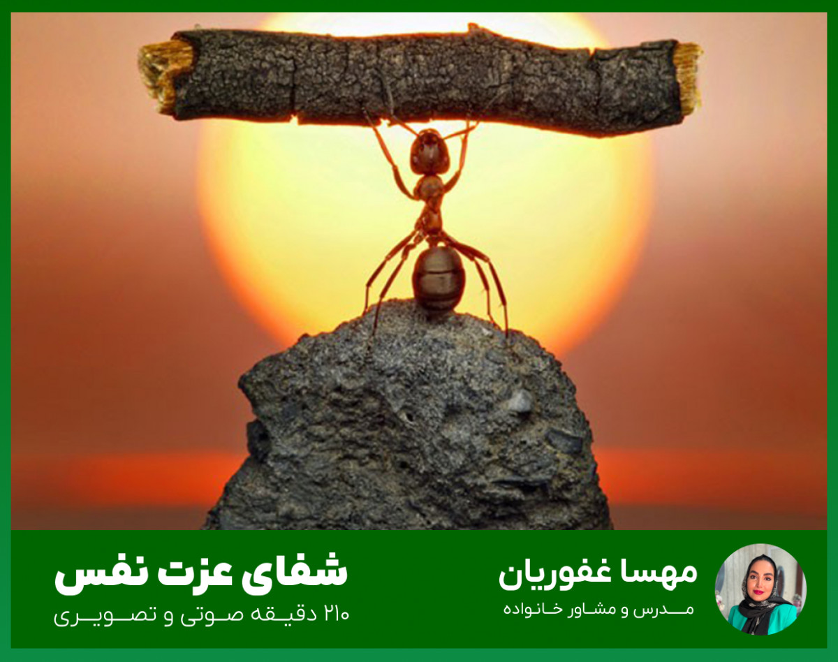 ویدئو دوره آموزشی آفلاین | شفای عزت نفس