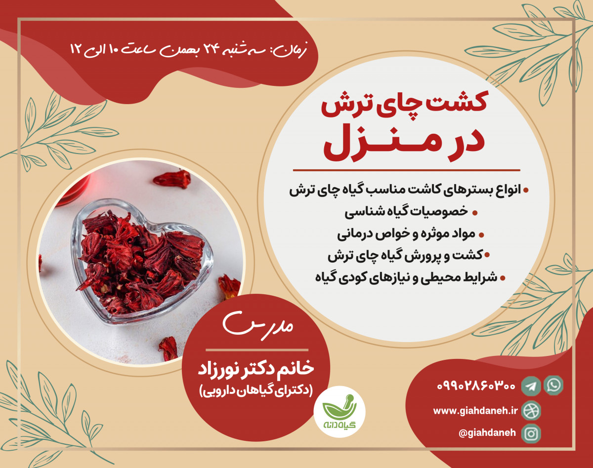 وبینار كشت چاي ترش در منزل