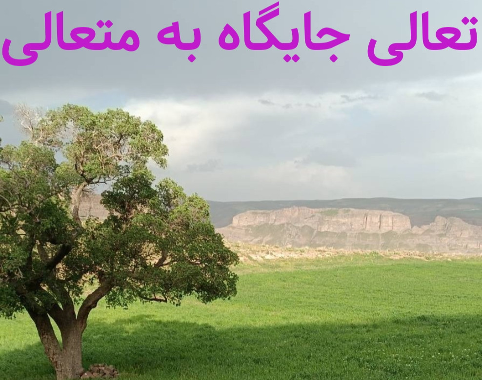 وبینار تعالی جایگاه فعلی در اجتماع با شایشتگی