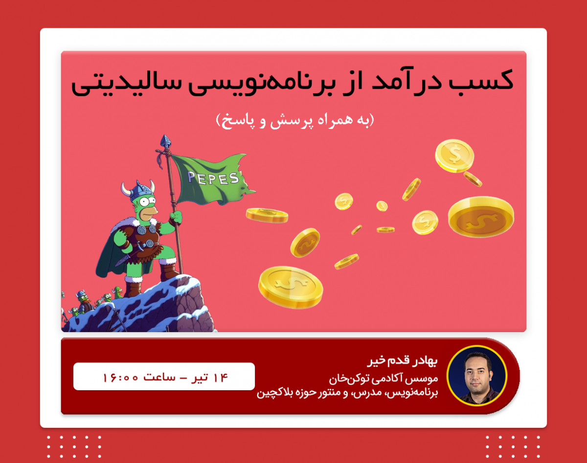 کسب درآمد از برنامه نویسی سالیدیتی