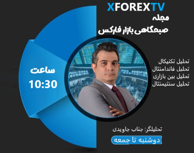 وبینار های زنده بازار های مالی XFOREX TV