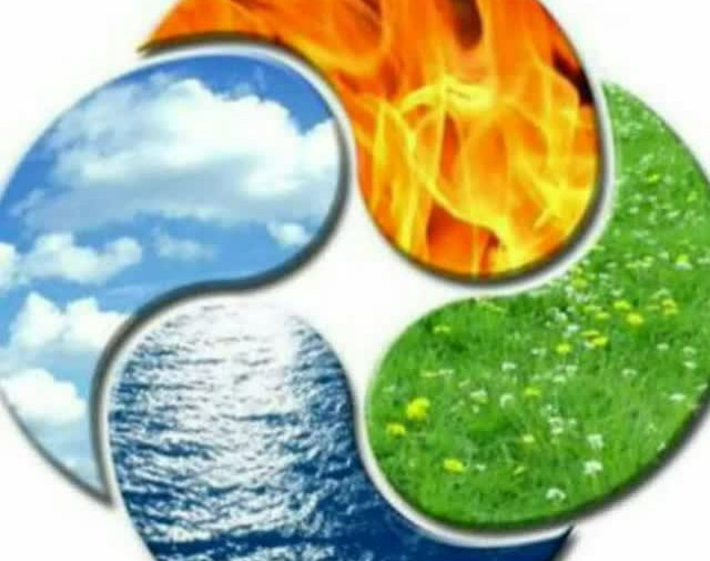 وبینار راز غذا