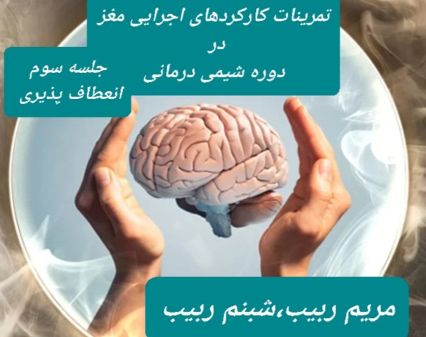 وبینار کارکردهای اجرایی مغز در تسهیل روند شیمی درمانی جلسه سوم انعطاف پذیری