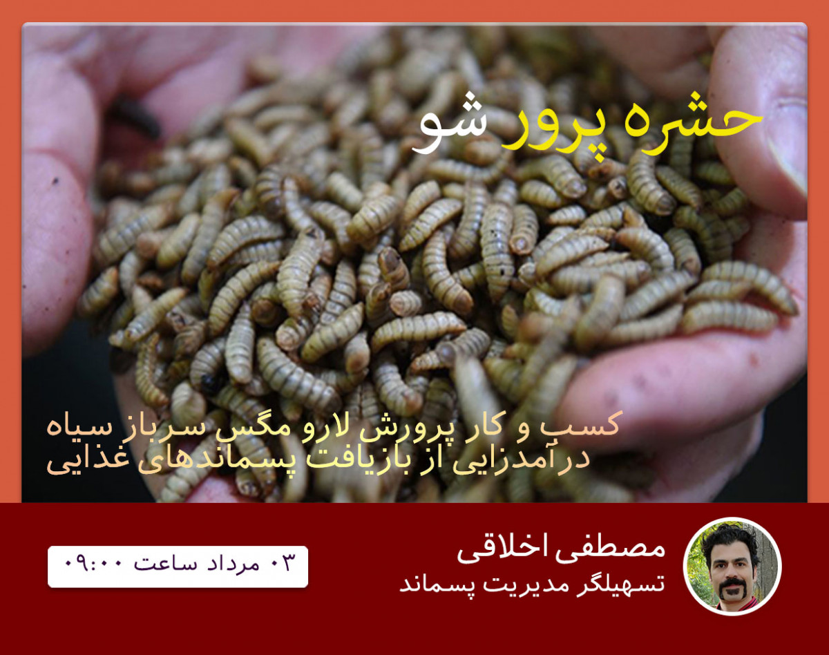 وبینار حشره‌پرور شو