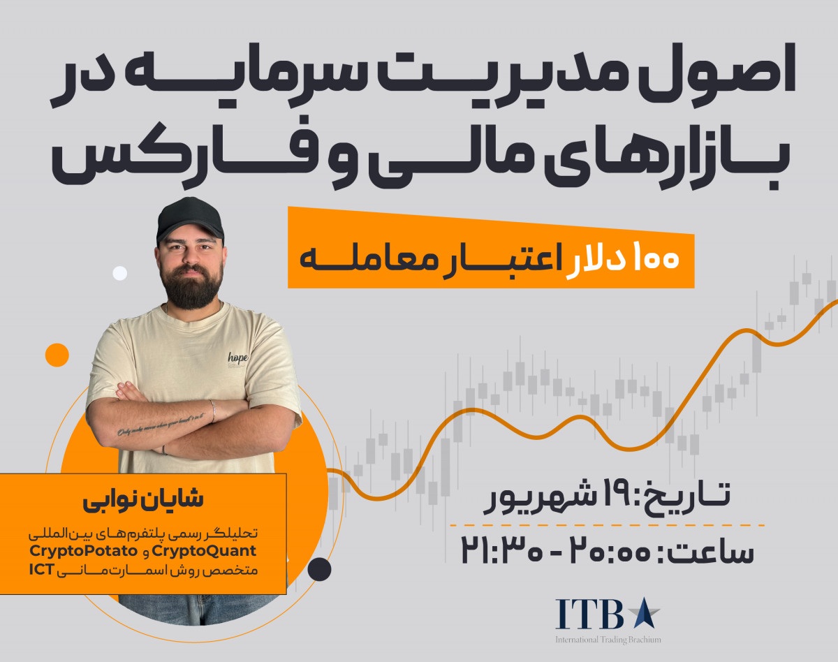 وبینار اصول مدیریت سرمایه در بازارهای مالی و فارکس