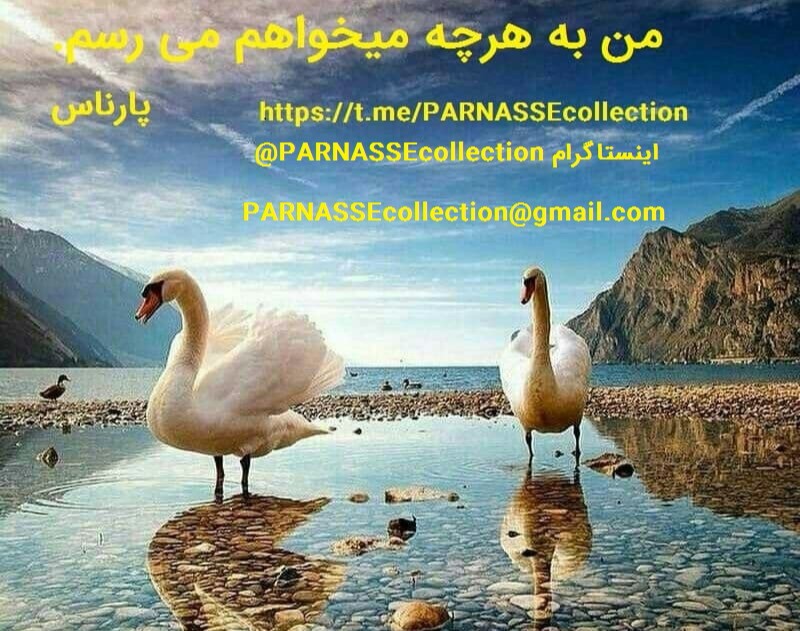 وبینار چگونه نوشتن را آغاز کنیم؟