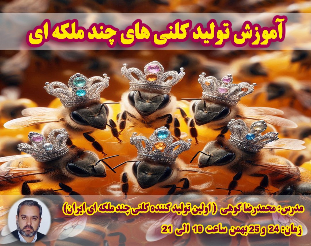 وبینار ایجاد کندوهای چند ملکه ای