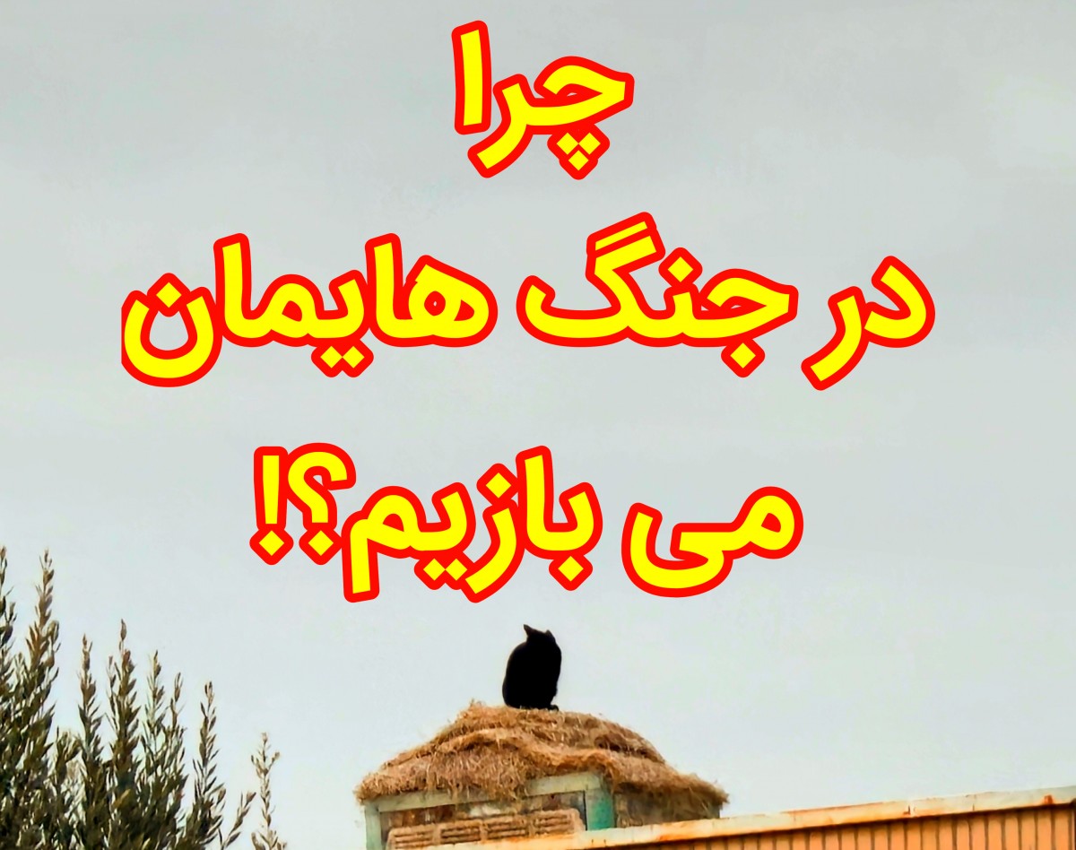 وبینار چرا در جنگ هایمان می بازیم؟!