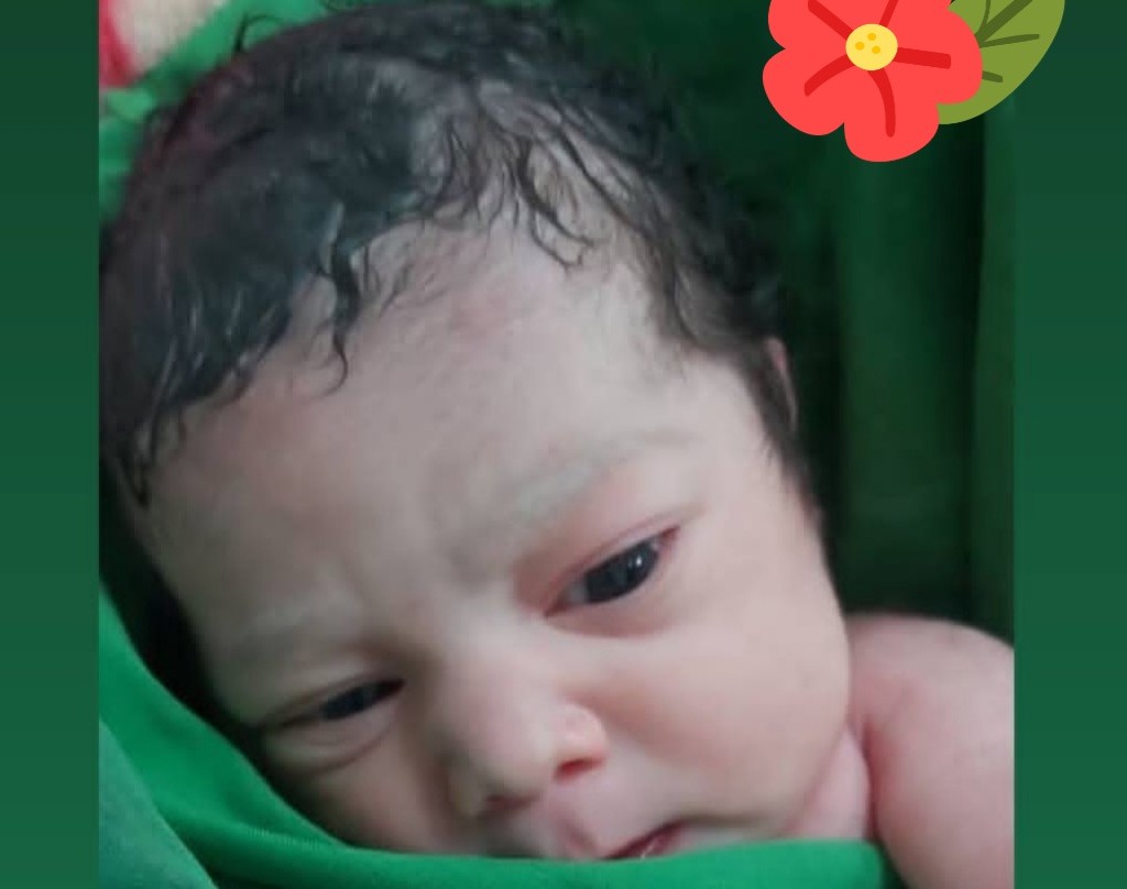 وبینار افزایش هوش جنینی