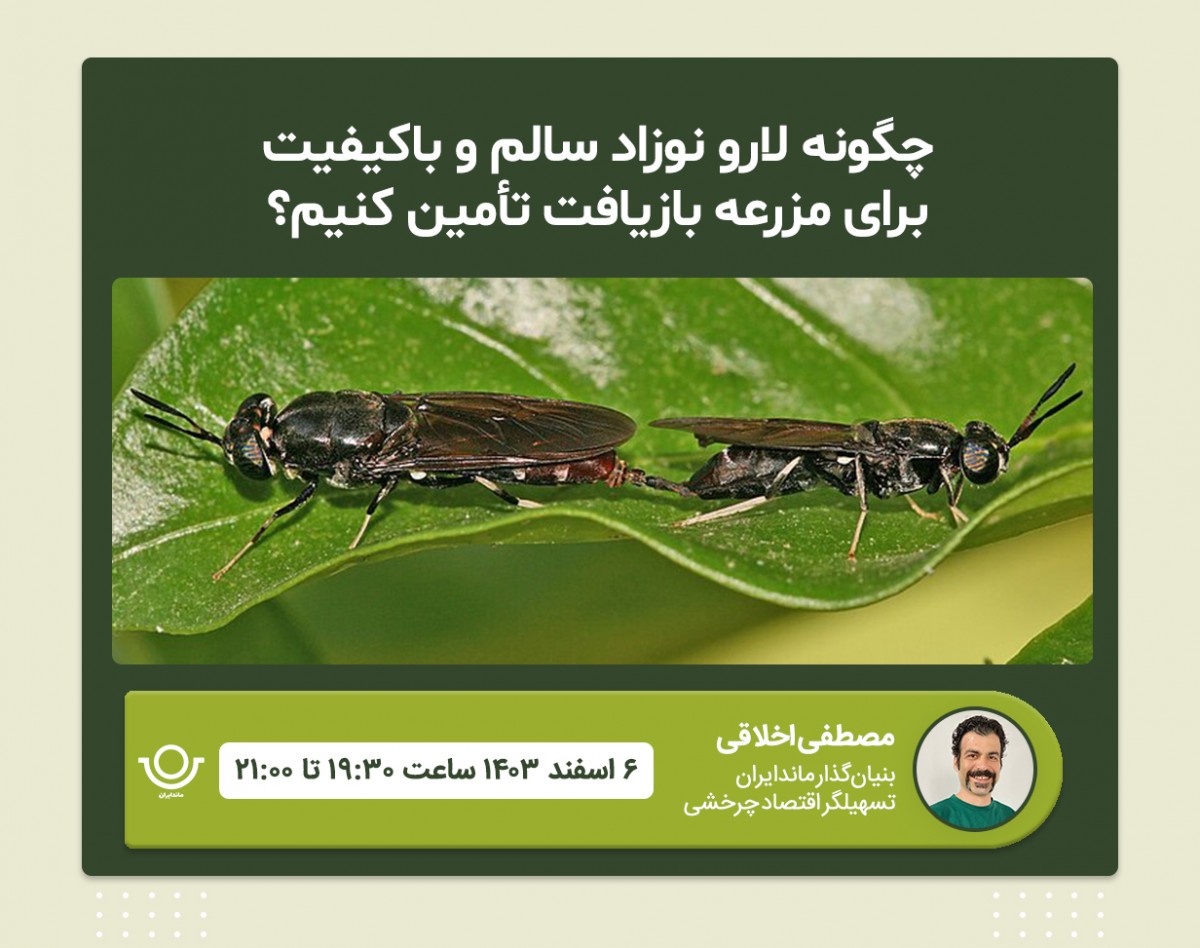 وبینار چگونه لارو نوزاد سالم و باکیفیت برای مزرعه بازیافت تأمین کنیم؟