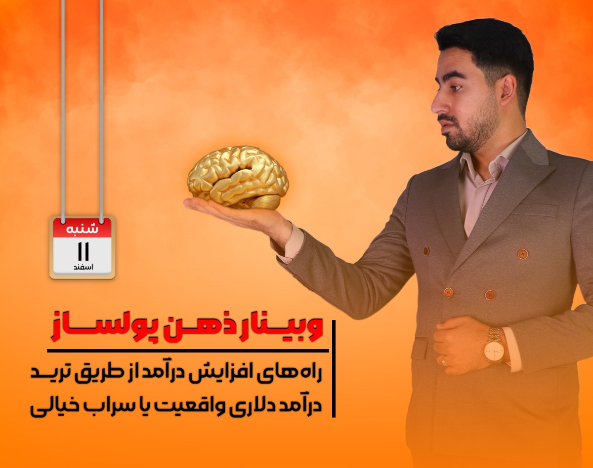 وبینار ذهن پولساز
