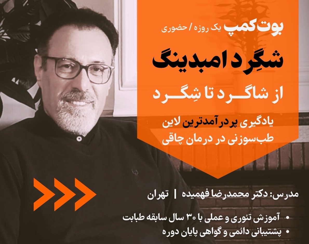 وبینار بوت‌کمپ شگرد امبدینگ، مهارتی پردرآمد در درمان چاقی