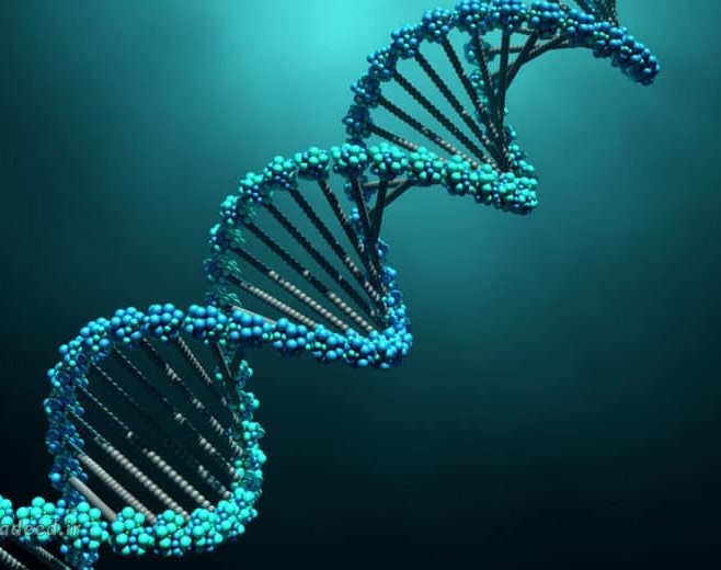 وبینار فتوسنتز