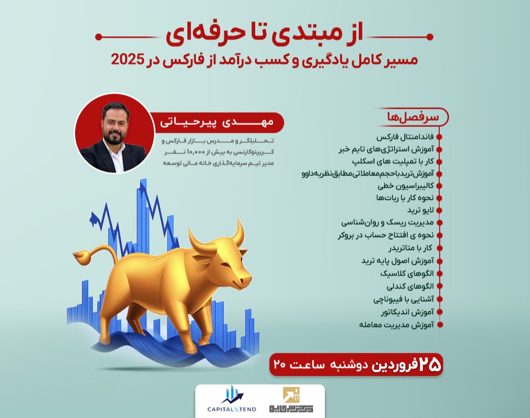 وبینار از مبتدی تا حرفه‌ای: مسیر کامل یادگیری و کسب درآمد از فارکس در 2025