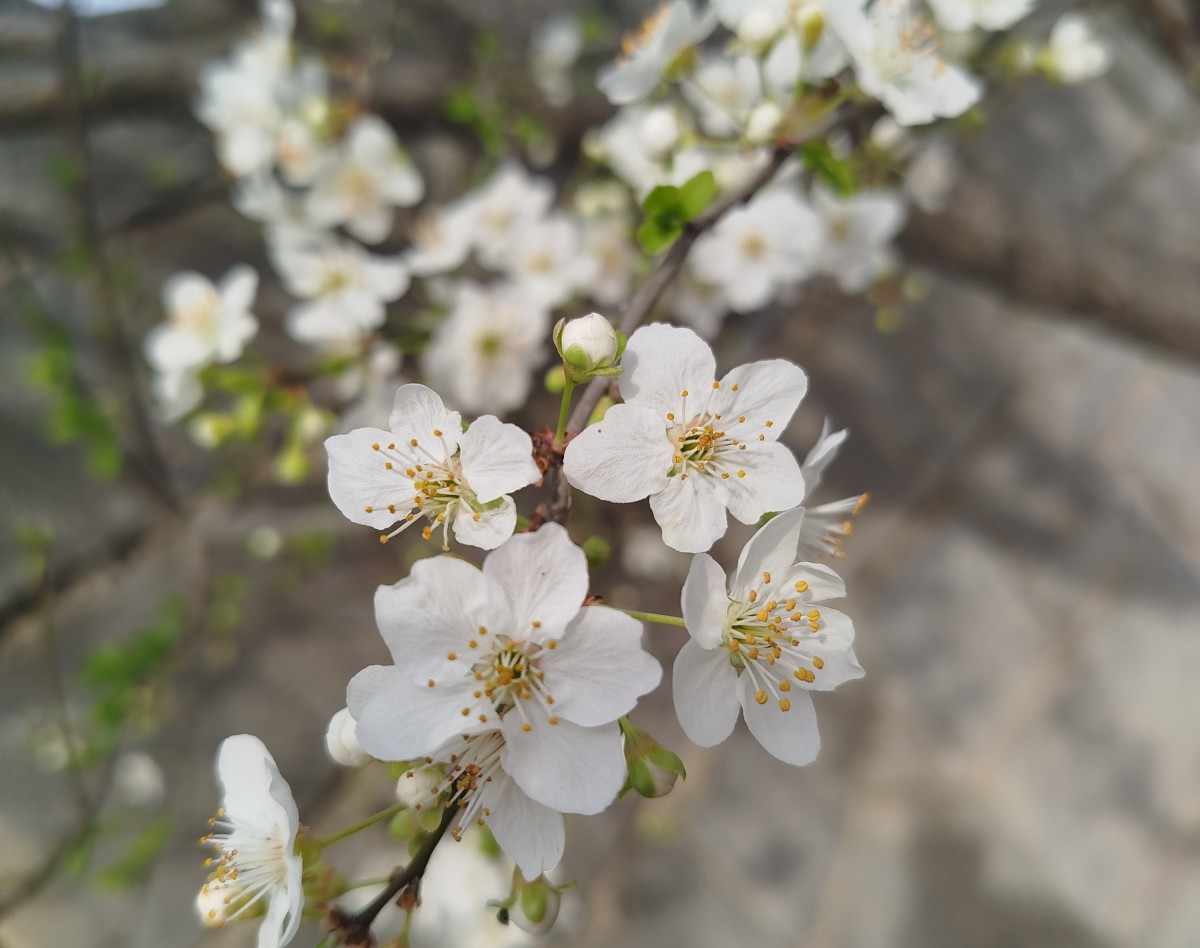 وبینار تیپ های شخصیتی درون گرایی و برون گرایی