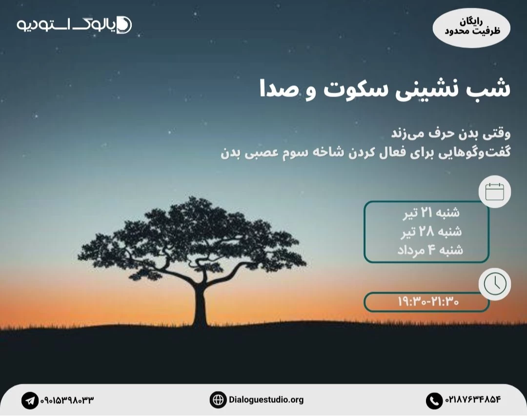 وبینار شب نشینی سکوت و صدا