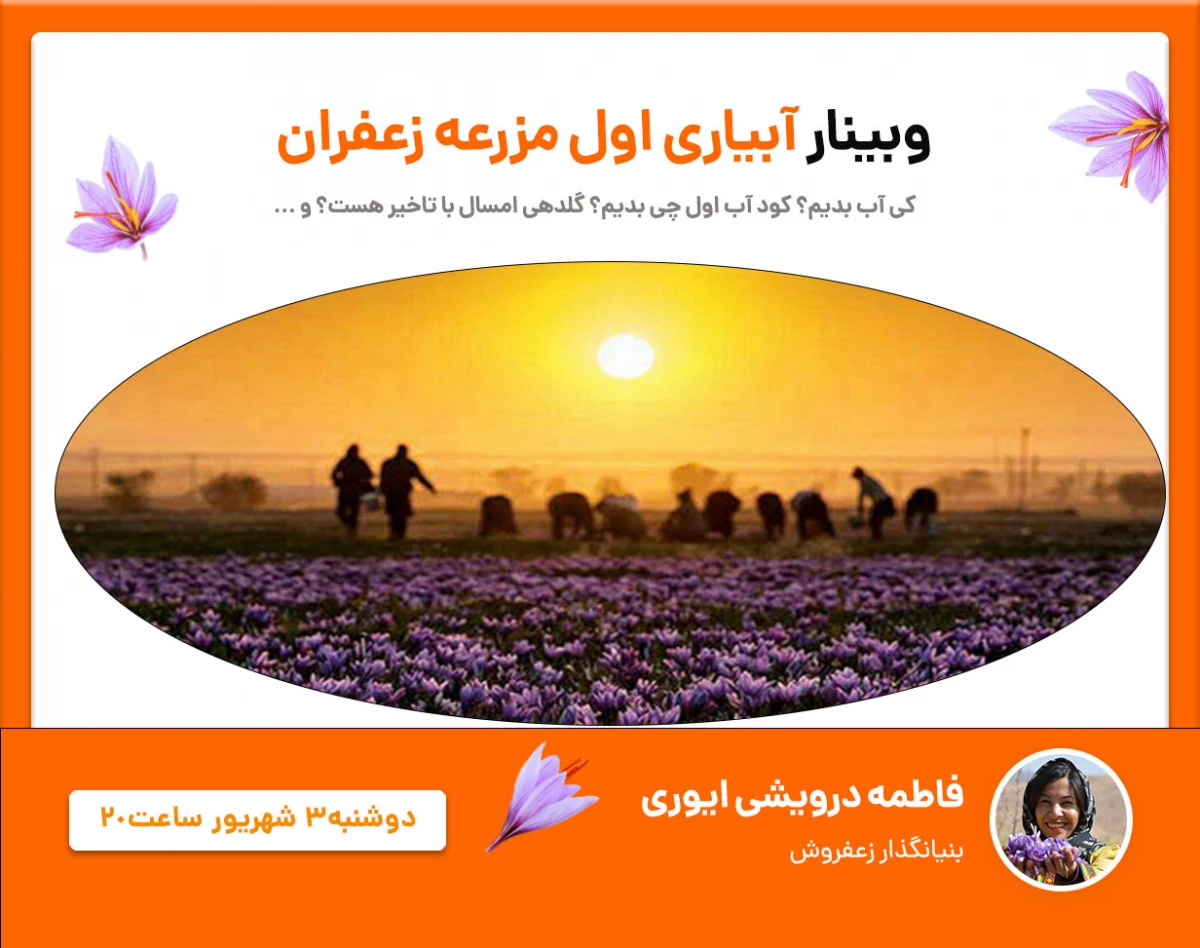 وبینار آبیاری اولیه مزرعه زعفران خانم فاطمه درویشی