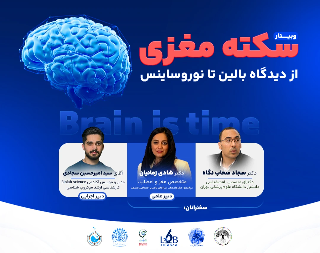 وبینار سکته مغزی؛ از دیدگاه بالین تا نوروساینس