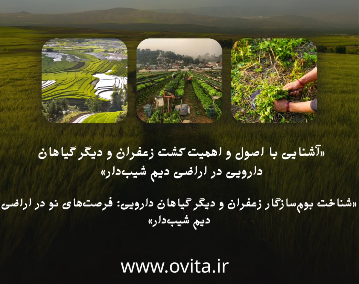 وبینار آشنایی با اصول و اهمیت کشت زعفران ودیگر گیاهان دارویی در اراضی دیم شیب‌دار