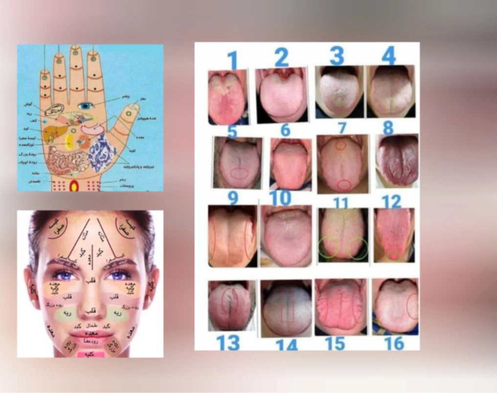 وبینار اموزش طب سنتی