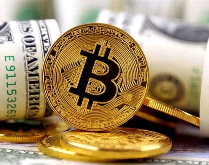 وبینار سرمایه گذاری اصولی دکتر سیاح نیا (فرهنگ گستر)