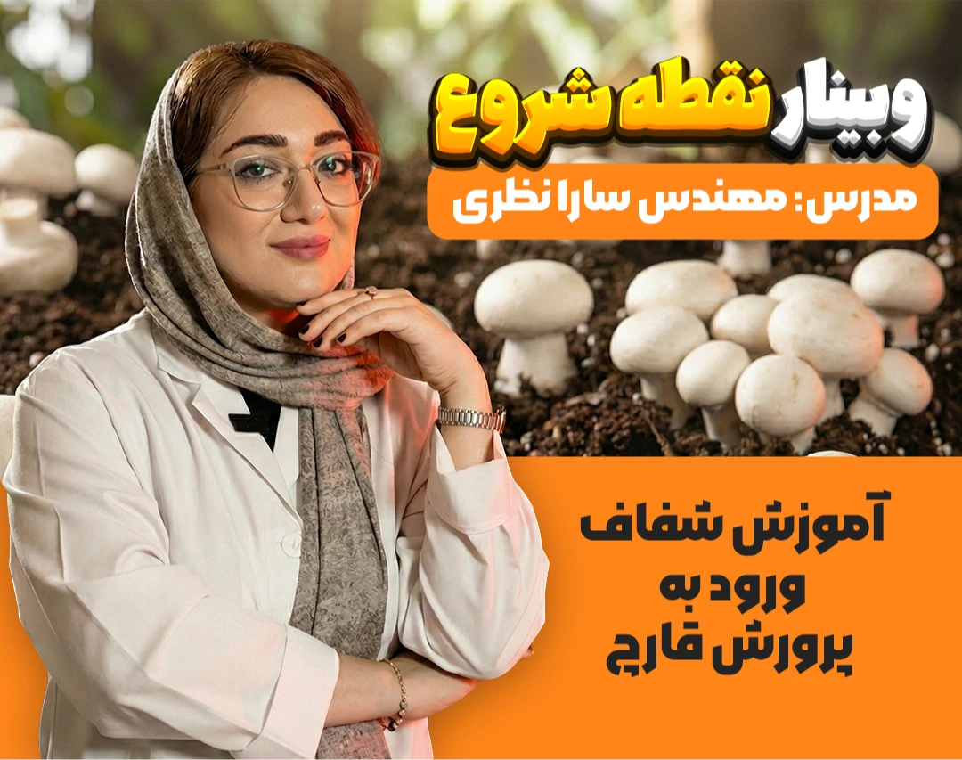 وبینار نقطه شروع