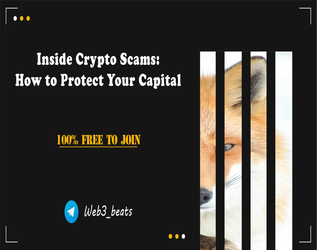 وبینار فرصت طلایی یا تله انفجاری: چم و خم شناسایی پروژه‌های رمزارز کلاهبرداری