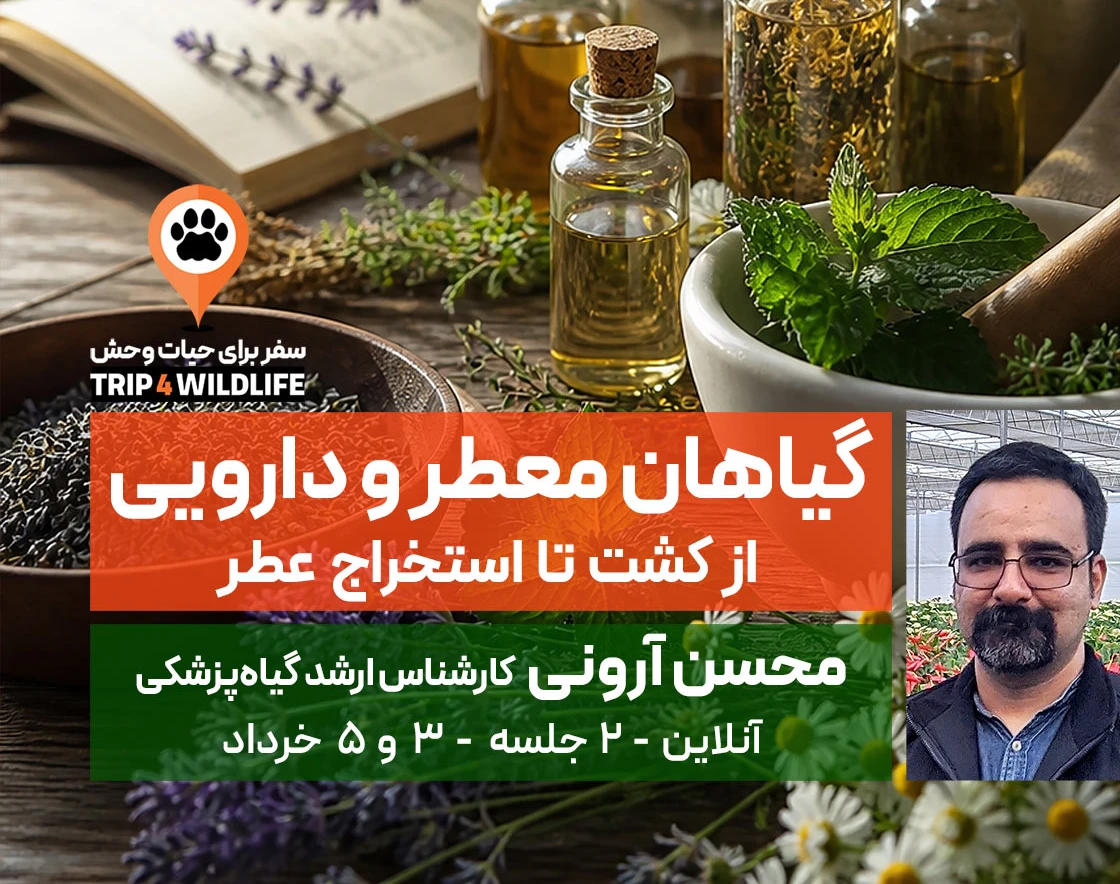وبینار گیاهان معطر و دارویی (از کشت تا استخراج عطر)