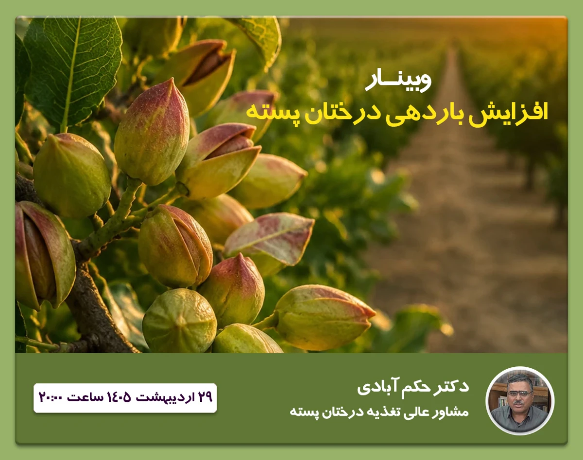 وبینار افزایش باردهی درختان پسته