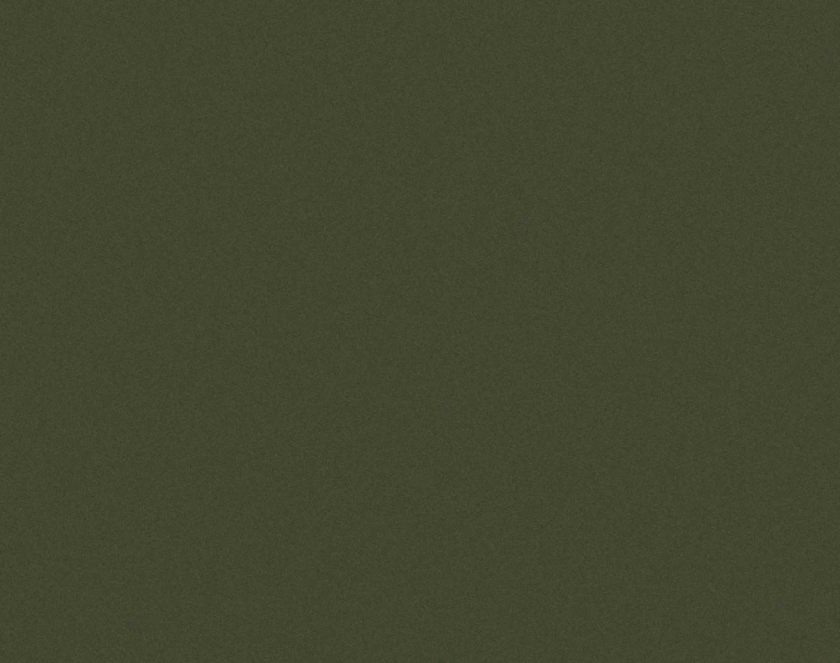 وبینار پل: اهمیت ارتباطات در زندگی شخصی و کسب و کار
