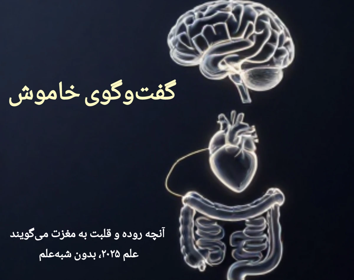 گفت‌وگوی خاموش –