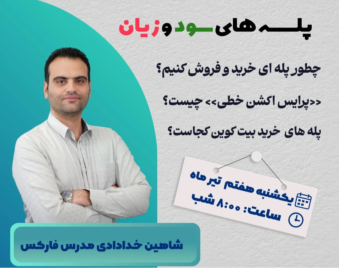 وبینار پله های سود و زیان
